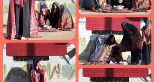 مدارس براعم النصر الأهلية