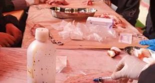 طلاب كلية الآفاق في يوم مفتوح