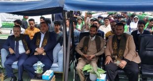 فعالية احتفالية بذكرى المولد النبوي بجامعة ابن النفيس