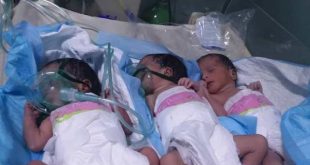 ولادة توائم بمستشفى فلسطين