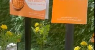 ابداعات لطلبة الجرافيكس بكلية الغد الدولية